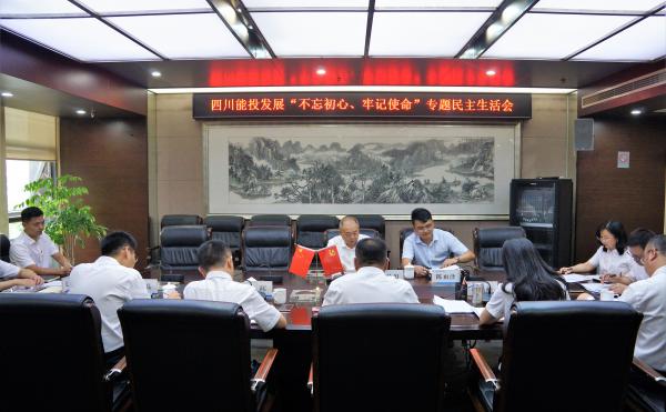 四川能投發(fā)展黨委召開(kāi)“不忘初心、牢記使命”專...